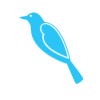 Blue Bird