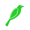 Green Bird